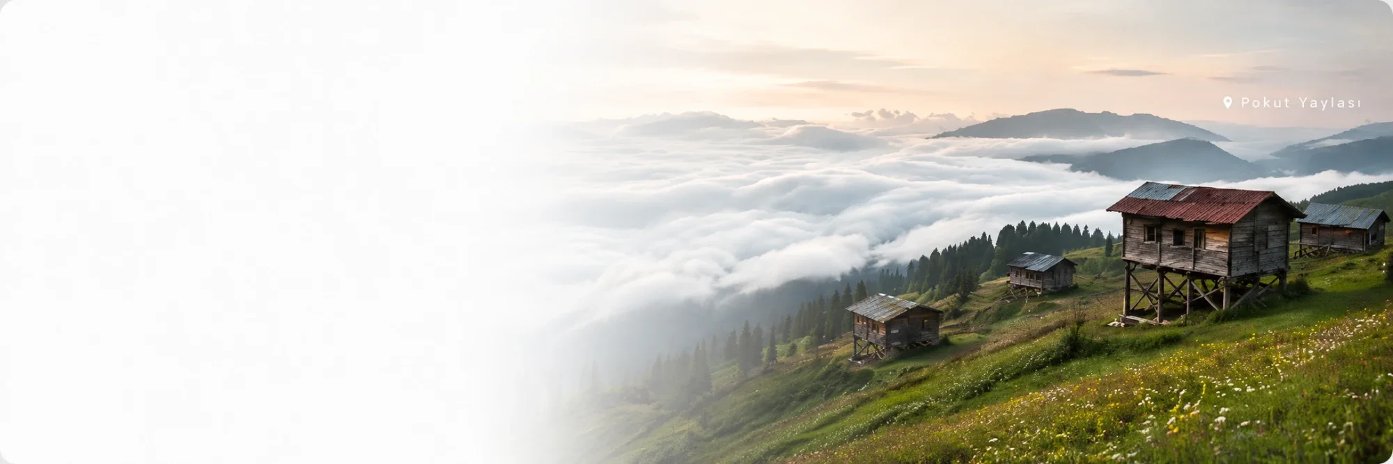 Pokut Yaylası